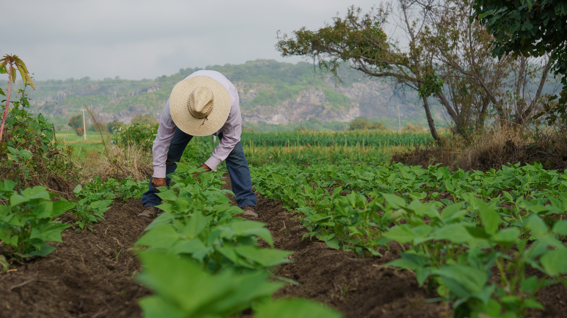 Productos de nuiestra tierra