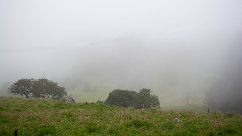 Paisaje Nieblina
